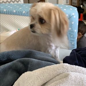 Meet your Posher, Marissa